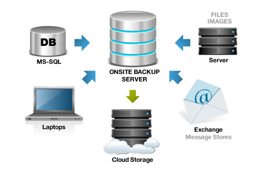 Enterprise data backup